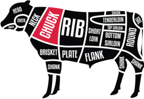 cow with chuck region labelled