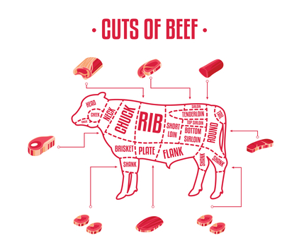 cow diagram showing beef cuts