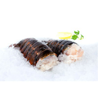 2 Cold Water Lobster Tails on Ice