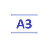 A3