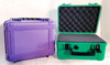 Purple and Green (opened & Retired) 2LB LockBox on white background.