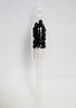 Anthracite Pill BotL on white background