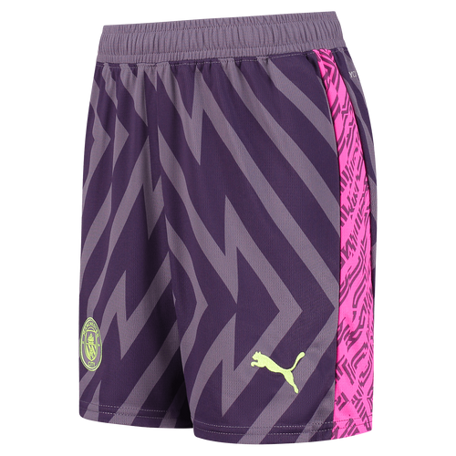 Manchester City 23/24 Men's Purple Goalkeeper Long Sleeve Shirt