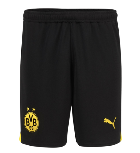 Borussia Dortmund 23/24 Stadium Men's Third Shirt