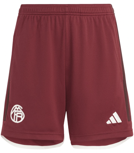 Bayern Munich 23/24 Kid's Third Shirt and Shorts