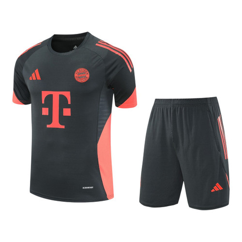 Bayern Munich 25/26 Men's Gray Training Shirt