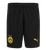 Borussia Dortmund 23/24 Authentic Men's Home Shirt