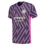 Manchester City 23/24 Men's Purple Goalkeeper Shirt