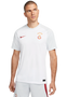 Galatasaray 23/24 Stadium Men's Away Shirt