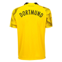 Borussia Dortmund 23/24 Stadium Men's Third Shirt
