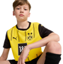 Borussia Dortmund 24/25 Kid's Home Shirt and Shorts