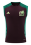 Mexico 2024 Men's Bordeaux Training Tank Top