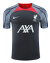Liverpool 24/25 Men's Dark Gray Training Shirt