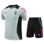 Juventus 24/25 Men's Gray Training Shirt