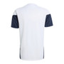 Argentina 2026 Men's White Training Shirt