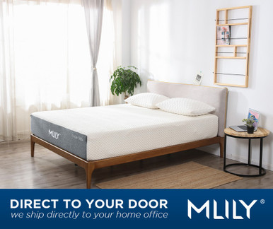 Mlily Fusion Ortho Hybrid Mattress