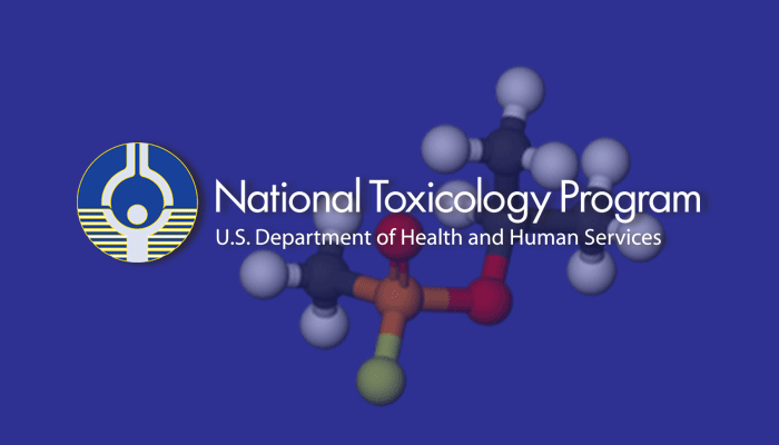 ntp-study.png