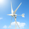 Hurricane HYE HY-1000L/24V 1000W 24V Wind Turbine Kit , 5 Blade with Flange Connection