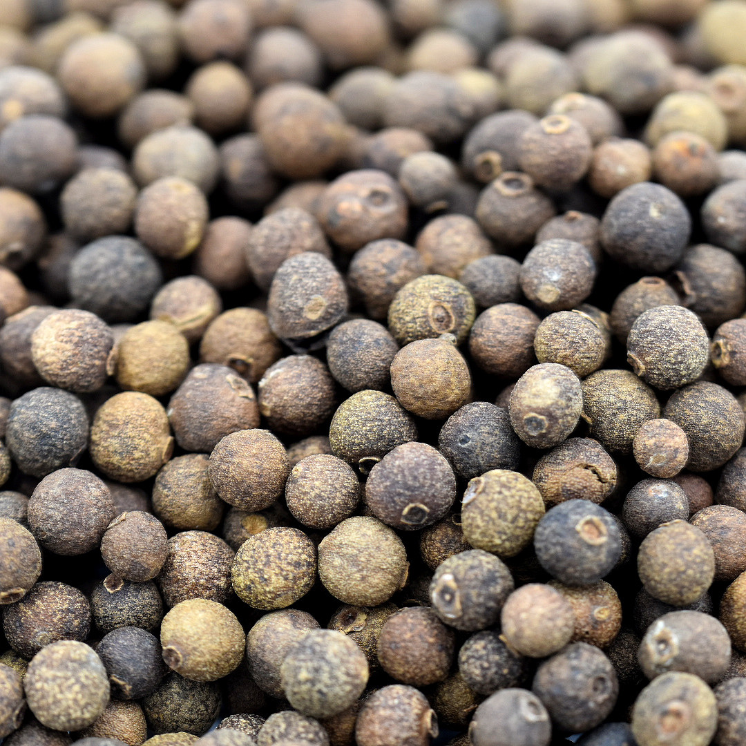 allspice, whole Terra Spice Marketplace