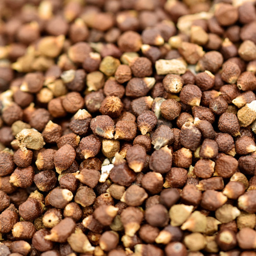 grains of paradise, whole