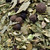 bouquet garni