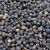 peppercorn, black, Malabar, whole