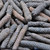 peppercorn, long, Thai, whole