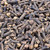 cloves, Penang, whole