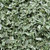 basil, coarse cut, freeze dried