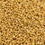 mustard seed, yellow, (sinapis alba), whole