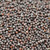 mustard seed, black, (brassica nigra), whole