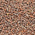 mustard seed, brown, (brassica juncea), whole