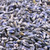 lavender flowers, Ultra, super blue, organic