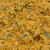 nacho blend