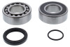 All Balls Racing 14-1072 - 12-13 Arctic Cat 600 Sno-Pro/CC Jack Shaft Bearing & Seal Kit Upper Shaft