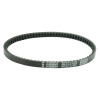 Athena S41PLAT028 - Adly 4 Tempi 50 Transmission Belt