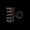 Brian Crower BC0400S - Mazda MZR Valve Spring & Retainer - Steel Retainers