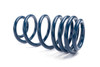 Dinan D100-0937 - Performance Coil Spring Set