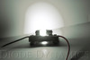 Diode Dynamics DD0296P - 31mm HP6 LED Bulb LED Blue Pair