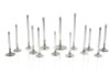 Ferrea F6100-1 - Chevy SB 1.6in 11/32in 4.96in 0.25in +.050 6000 Series Exh Valve - Single (Drop Ship Only)