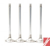 GSC Power Division 2039-8 - GSC P-D Honda B-Series B16A/B17A/B18C Chrome Alloy Exhaust Valve 28mm Head - 6mm Stem - Set of 8