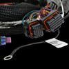 Holley EFI 558-129 - EFI Gen V LT Engine Main Harness