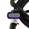 Holley EFI 558-221 - EFI GM GEN V GDI Sub Harness