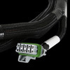 Holley EFI 558-220 - EFI GM GEN V GDI Sub Harness