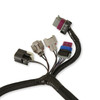 Holley EFI 558-439 - Terminator® Throttle Body Harness