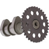 Hot Cams 2251-2IN - 04/06-08 400 DVX/00-04 DR-Z 400 Intake Camshaft - Stage 2