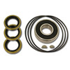 K.S.E. Racing KSC1077B - Tandem X-Pump Seal Kit w/Bearing
