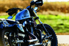Kuryakyn 6666 - Dillinger Pegs With Male Mount Adapter Silver