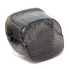 Letric Lighting LLC-DS-S - Dlx Slantback Led Tllght Smk
