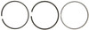 Mahle S42097.010 - Rings Ford / Navistar 6.4L Direct Injection Turbo Diesel 2006-2010 Powerstroke Moly Ring Set